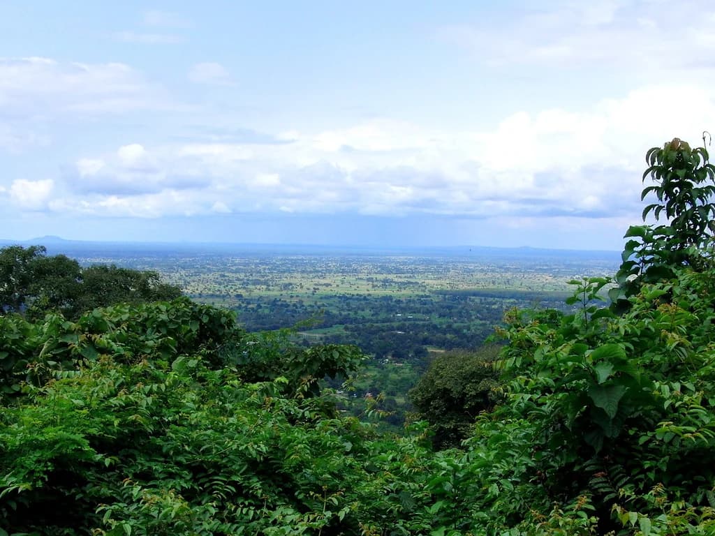 Udzungwa Mountains National Park
