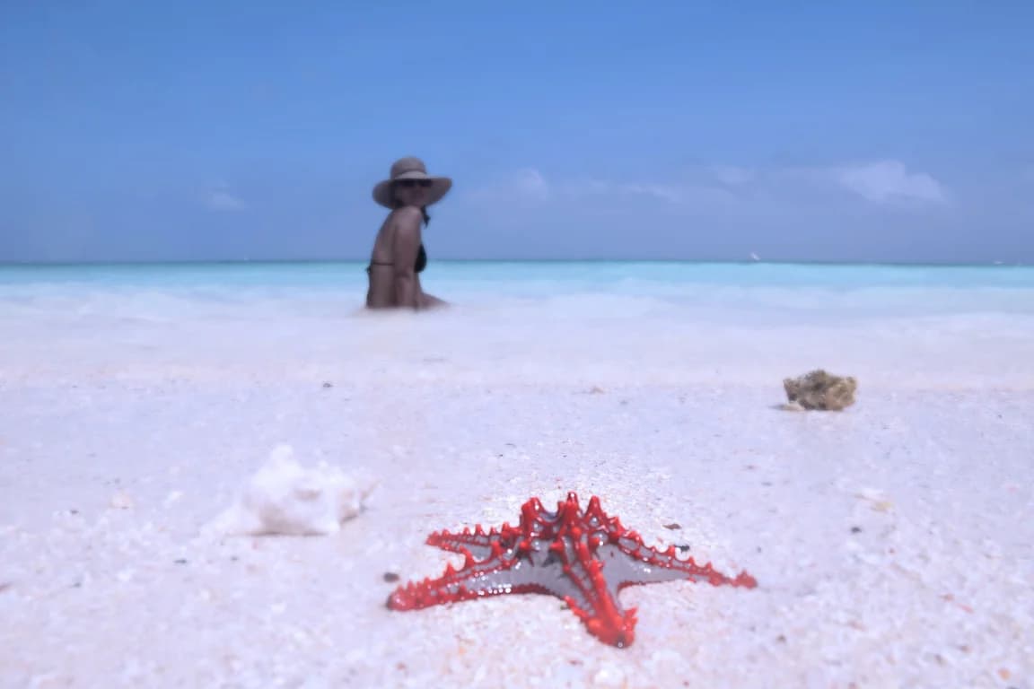 Zanzibar — Kendwa